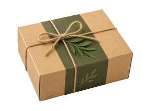 Eco Kraft Gift Box